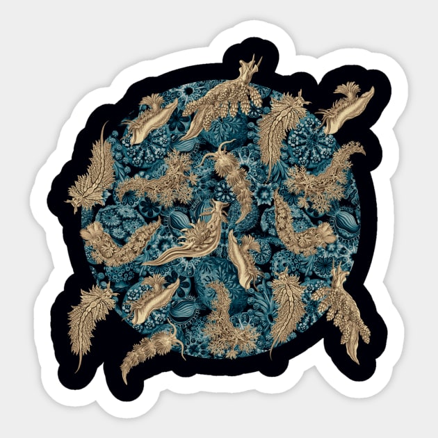 Ernst Haeckel Sepia Nudibranch  on Cerulean Sea Squirts Sticker by Scientistudio